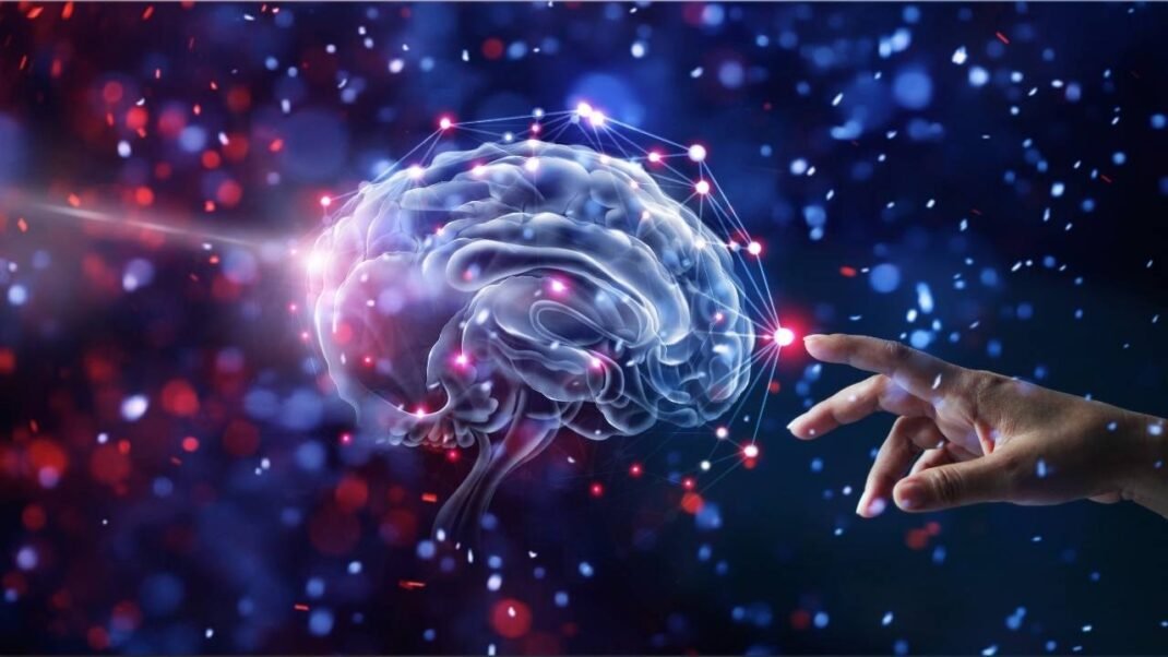 Cerebro E1770205734109